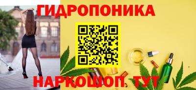 крисы Сланцы