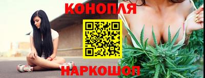 крисы Сланцы