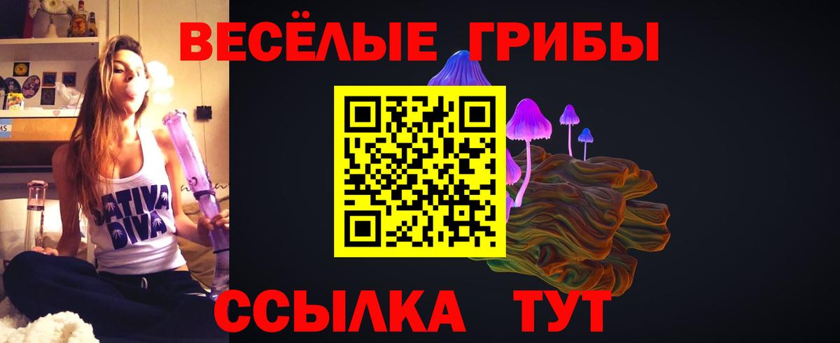Галлюциногенные грибы Cubensis  Галлюциногенные грибы Magic Shrooms  Вход с VPN  Ноябрьск 
