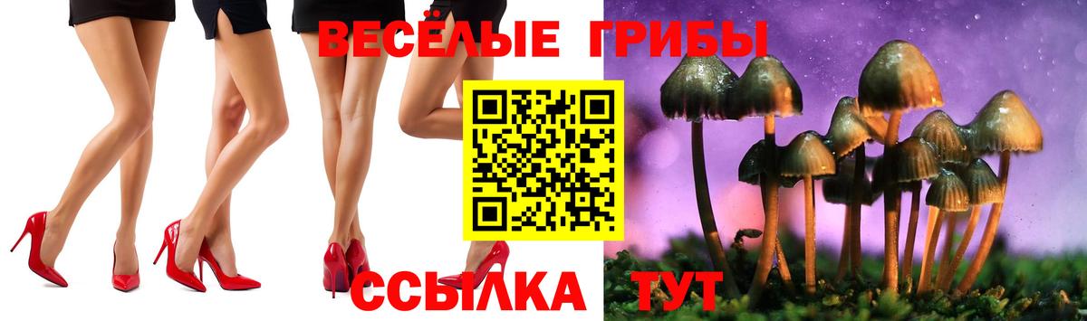 Псилоцибиновые грибы MAGIC MUSHROOMS Ноябрьск